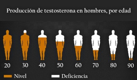 produccion de testosterona segun la edad