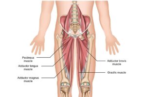 estirar aductores