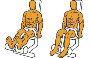 Curl femoral sentado