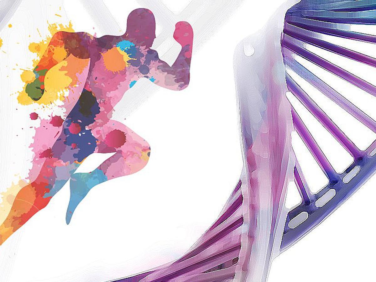 ¿La genética influye en la respuesta al entrenamiento y los resultados obtenidos?