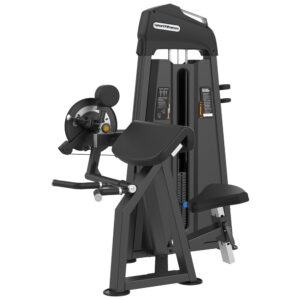 Biceps y triceps selectorizado dual